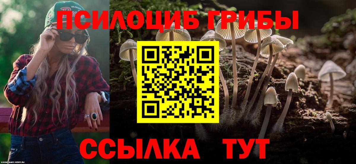 Нижний Новгород  Галлюциногенные грибы GOLDEN TEACHER  купить закладку  Вход с VPN 