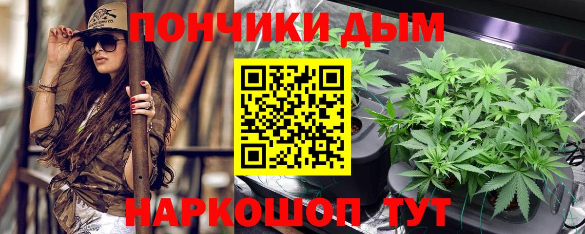 Бошки марихуана гибрид Нижний Новгород